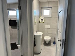 een kleine badkamer met een toilet en een wastafel bij Kozákov Apartmány - první patro 