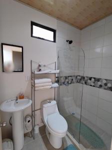 een badkamer met een douche, een toilet en een wastafel bij Apartamentos La Paz in Liberia