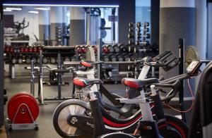 Fitness centrum a/nebo fitness zařízení v ubytování Hilton Frankfurt City Centre