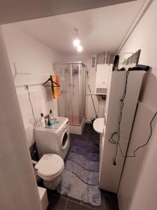 a small bathroom with a toilet and a shower at Apartment mit Ausblick in Braunschweig