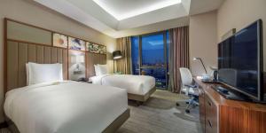 TV a/nebo společenská místnost v ubytování Hilton Garden Inn Istanbul Atatürk Airport