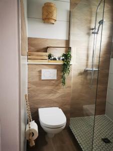 Oyster Pond的住宿－VILLA PELICAN，一间带卫生间和淋浴的浴室