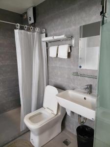 ein Badezimmer mit einem weißen WC und einem Waschbecken in der Unterkunft Lorenzo's Homestay in Basco