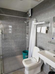a bathroom with a toilet and a shower and a sink at Lorenzo's Homestay in Basco