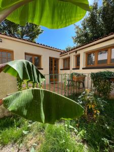 uma grande planta verde em frente a uma casa em Appartement cosy avec cuisine équipée et terrasse ensoleillée em Talence