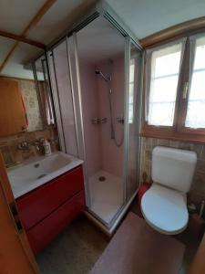 Kylpyhuone majoituspaikassa Gemütliches Chalet