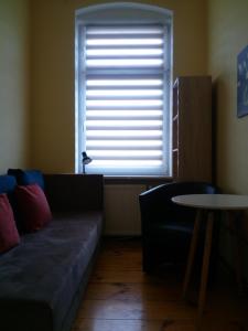 Hostel Tulip - pokój 6 ze wspólną łazienką i kuchnią في شتتين: غرفة معيشة مع أريكة ونافذة
