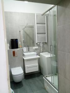 y baño con aseo, lavabo y ducha. en Hostel Tulip - pokój 6 ze wspólną łazienką i kuchnią, en Szczecin