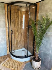 a bathroom with a shower with a potted plant at Lawendowy Wypas in Mierzeszyn