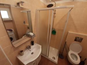 a bathroom with a shower and a toilet and a sink at House Vittone Venaria Reale in Venaria Reale