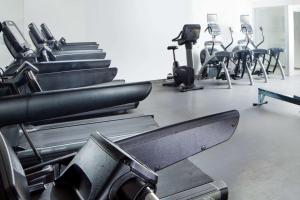 Fitness centrum a/nebo fitness zařízení v ubytování Hilton Prague Old Town
