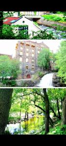 two pictures of a building and a river with trees at Modern central apartment next to beautiful nature2424 in Oslo