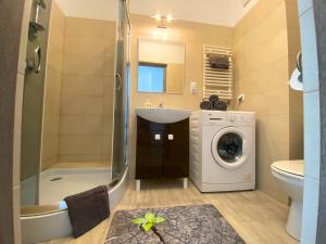 Apartament Symetria Panorama衛浴