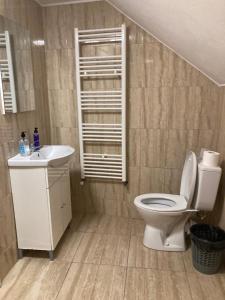 łazienka z toaletą i umywalką w obiekcie Pensiunea Casa Roman w mieście Tălmăcel