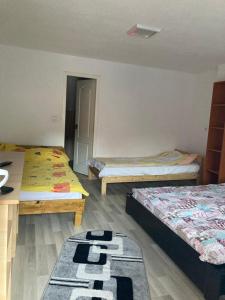 Habitación con 3 camas y alfombra en el suelo en Pensiunea Casa Roman, en Tălmăcel