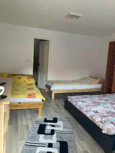 Pokój z 3 łóżkami i dywanem na podłodze w obiekcie Pensiunea Casa Roman w mieście Tălmăcel