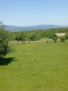 Príroda v okolí dovolenkového domu