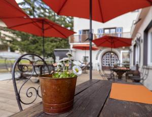 A patio or other outdoor area at Aparthotel Claviere