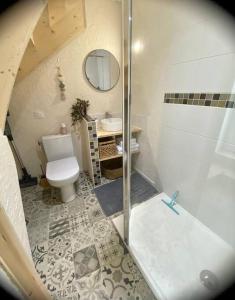 a bathroom with a shower and a toilet and a sink at La maison d Evahlia in Creissels +13 photos