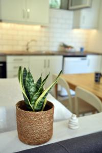 Gallery image of LIONS HOUSE PYTHAGORIO in Pythagoreio