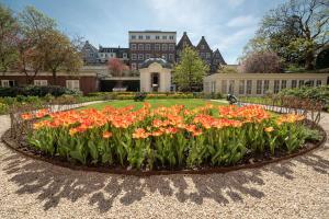 a circle of flowers in front of a building at Waldorf Astoria Amsterdam in Amsterdam