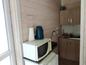 a microwave sitting on top of a counter in a kitchen at Rekreační chatka / Tiny House in Františkovy Lázně