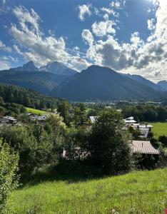 舍瑙阿姆克尼格塞的住宿－Ferienwohnung Bergidyll，享有山脉背景的田野景色