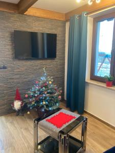 Bańska WyżnaDomki u Krużla的客厅里的圣诞树,配有电视