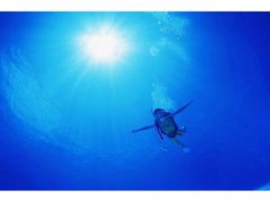 un tuffatore nell'acqua con il sole nel cielo di Hotel Bellreef Otsuki - Vacation STAY 43767v a Otsuki