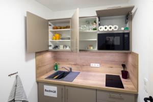 a kitchen with a sink and a counter top at Studioatelier in Übigau in Dresden