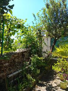 a garden with a stone wall and some plants at Stone Pazar Guest House in Gjirokastër