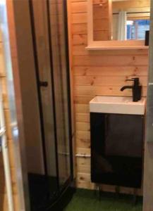 uma casa de banho com um lavatório e um espelho em Tiny House Close to Brussels South Charleroi Airport em Courcelles