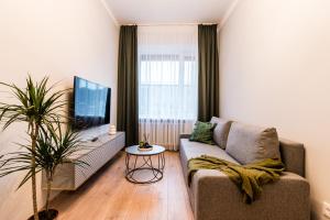 a living room with a couch and a tv at Juozapaviciaus apartment in Kaunas