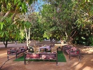 Mango Farm Camp في Al-Disah: مجموعة طاولات وكراسي تحت الاشجار