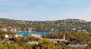 Hilton Mallorca Galatzo في باغيرا: اطلالة على مدينة بها بحيرة ومباني