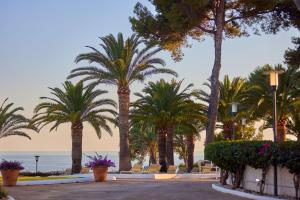 パゲラにあるHilton Mallorca Galatzoのヤシの木と海を背景にした通り