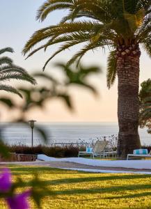 una palmera junto a una playa con una silla en Hilton Mallorca Galatzo en Paguera