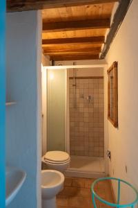 ein Bad mit einem WC und einer Dusche in der Unterkunft Opera d'Oro in Piegaro