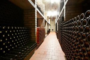 Fotografie z fotogalerie ubytování Apartmány Turold Mikulov v destinaci Mikulov