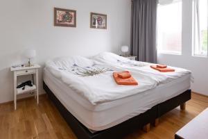Túnfífill Guesthouse - free hot tub and sauna, cozy and quiet客房内的一张或多张床位