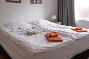 Túnfífill Guesthouse - free hot tub and sauna, cozy and quiet客房内的一张或多张床位