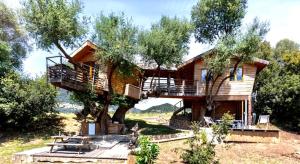 een blokhut in een boom met een balkon bij Cabane Dans les Arbres, Domaine de l Ogliastru in Olmeto