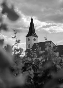 Fotografia z galérie ubytovania Penzion u Hošků v destinácii Vrbice