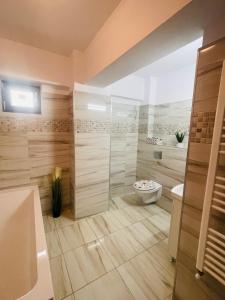 y baño con ducha, aseo y lavamanos. en Apartament YRA Rm.Valcea en Râmnicu Vâlcea