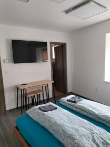Postel nebo postele na pokoji v ubytování Horizont