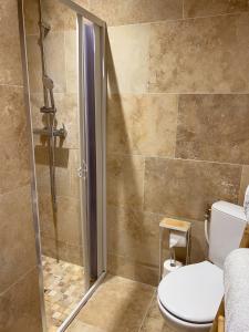 La salle de bains est pourvue d'une douche et de toilettes. dans l'établissement Maison deux chambres avec terrasse sans vis-à-vis, à Salon-de-Provence