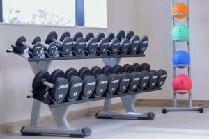 Fitness centrum a/nebo fitness zařízení v ubytování Hilton Garden Inn Wiener Neustadt