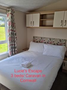a bedroom with a bed and a window at Lucie’s Escape/ 129 meadow view in Grampound