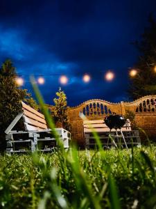 ein Paar Bänke, die nachts im Gras sitzen in der Unterkunft Tropikalny Zakątek in Sarbinowo