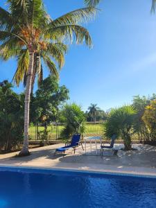 een zwembad met 2 stoelen en een tafel en een palmboom bij Villa Ruiz @ the 7th hole in Manzanillo